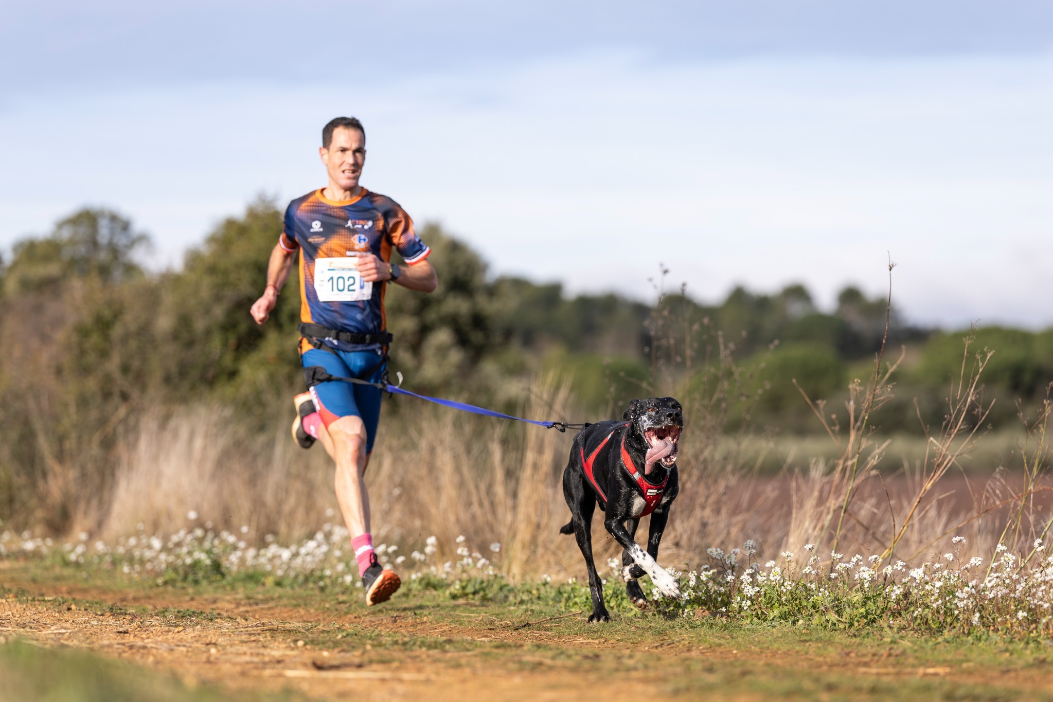 Geoffroy Sarran en canicross avec son chien en compétition
