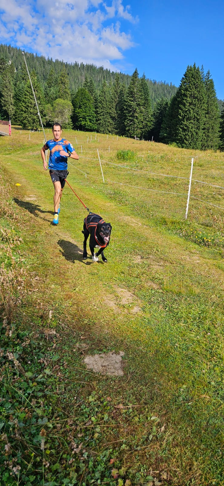 Course en canicross avec Taz