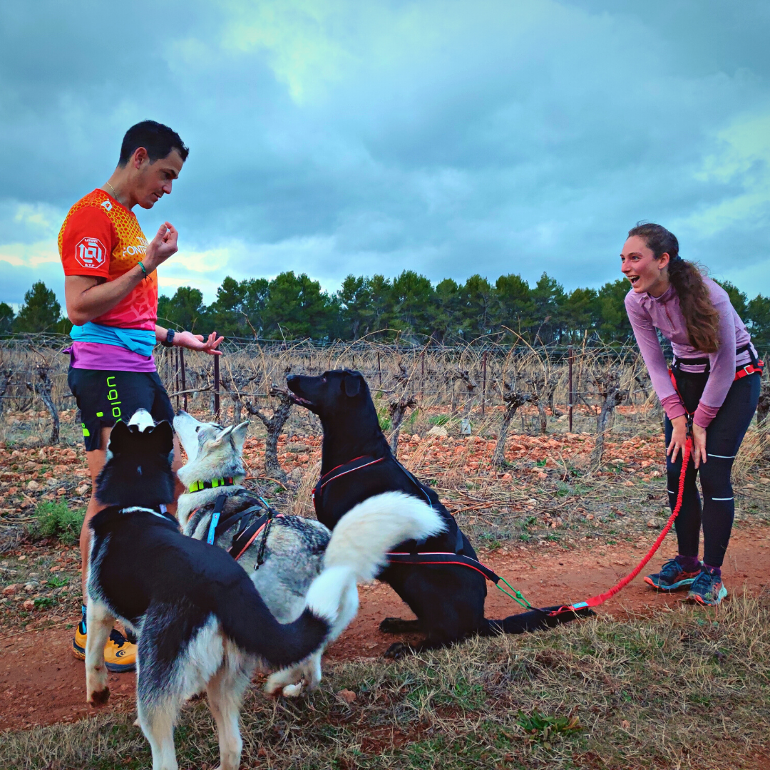 Binôme humain et chien en canicross