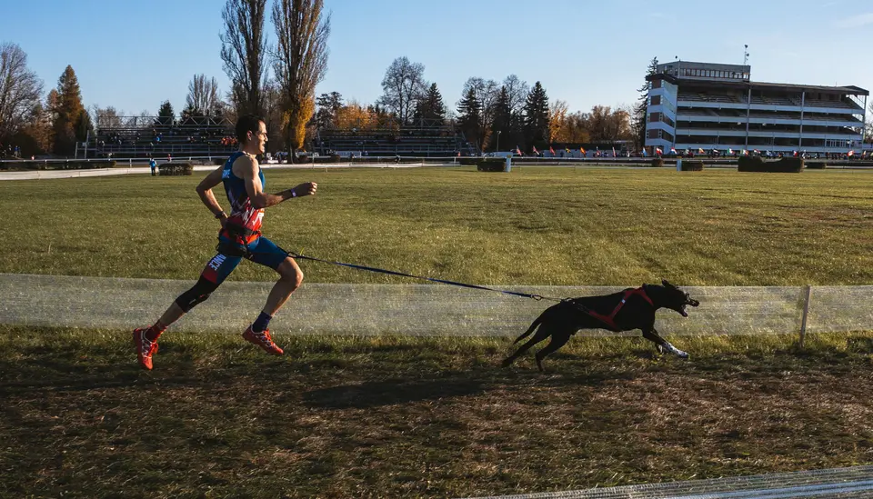 Geoffroy Sarran et son chien en canicross de haut niveau