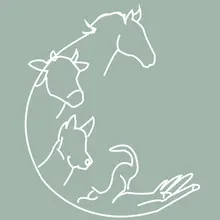 Logo de Meïly Chollet, ostéopathe animalier
