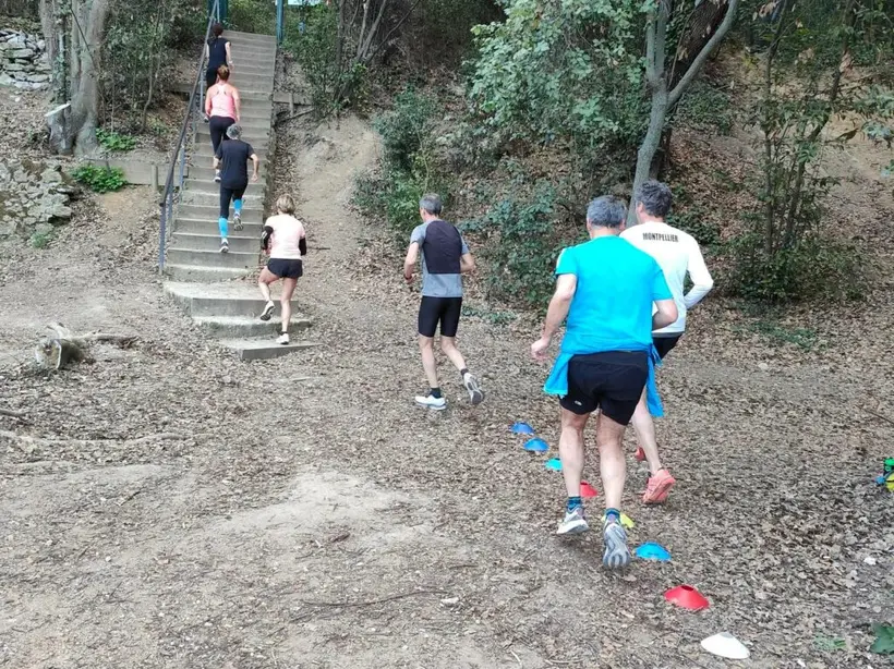 Coureurs pendant une séance de running et trail